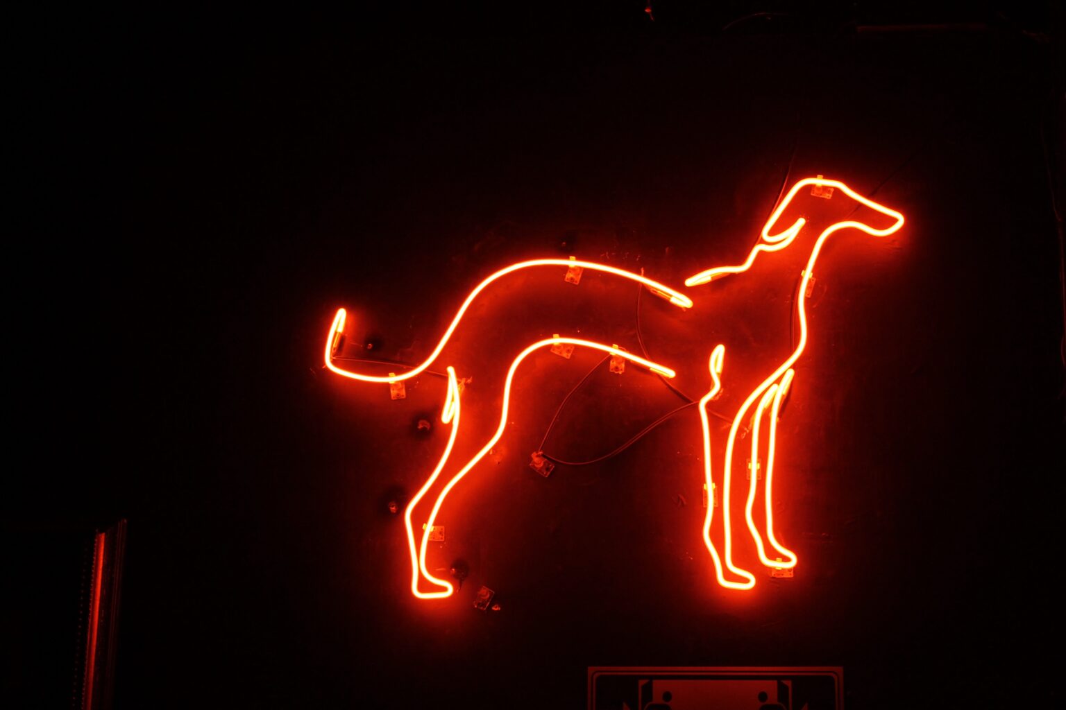 GALGO, UN “VELOZ” SPEAKEASY EN GUADALAJARA