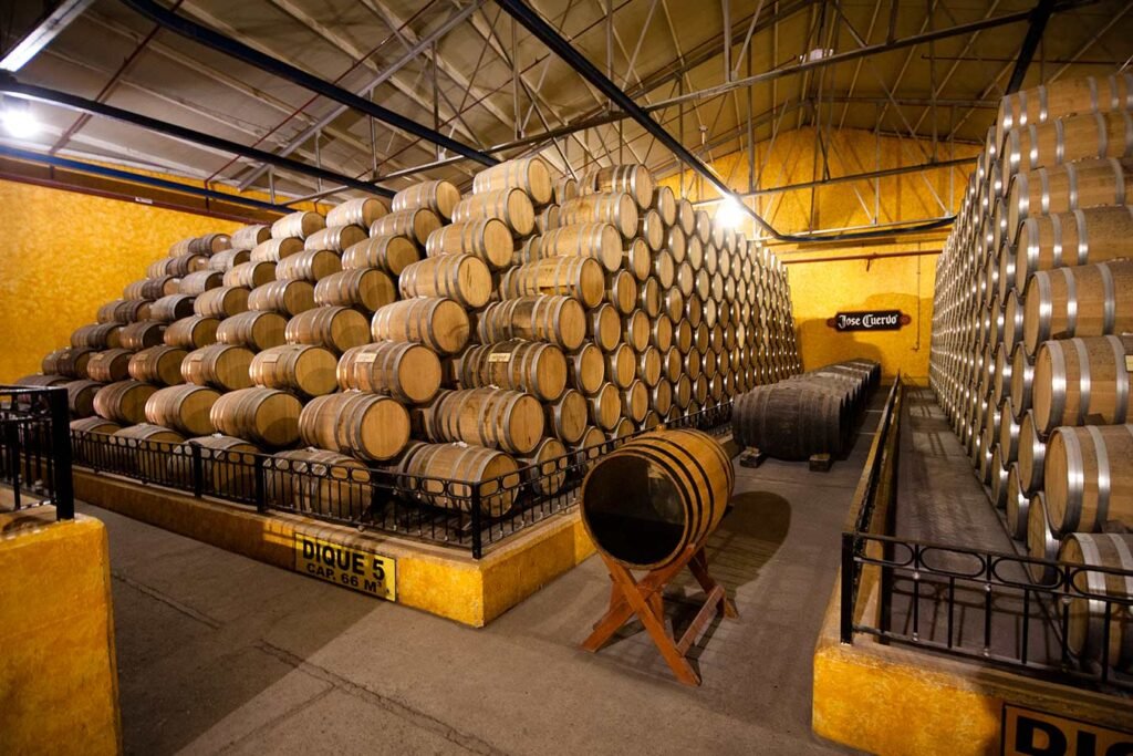 MUNDO CUERVO, LA CASA DEL TEQUILA NRO.1 DEL MUNDO (2da. PARTE)